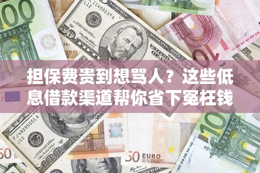 济南担保费贵到想骂人？这些低息借款渠道帮你省下冤枉钱