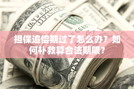 济南担保追偿期过了怎么办？如何补救算合法期限？