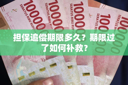 济南担保追偿期限多久？期限过了如何补救？