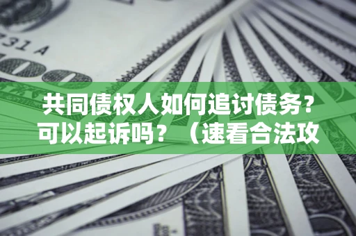 济南共同债权人如何追讨债务？可以起诉吗？（速看合法攻略）